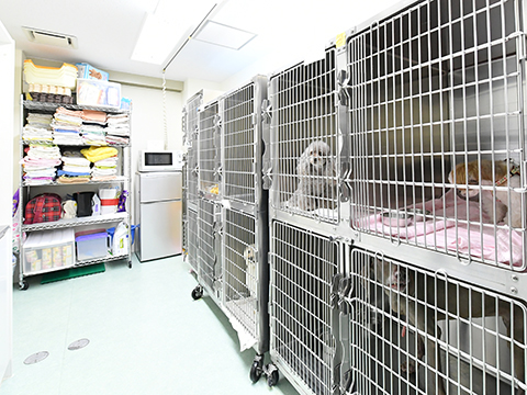 入院室（2階、3階）