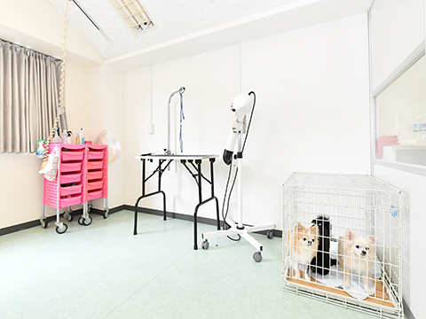 トリミング室