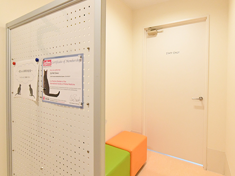 ねこちゃん専用待合室（2階）